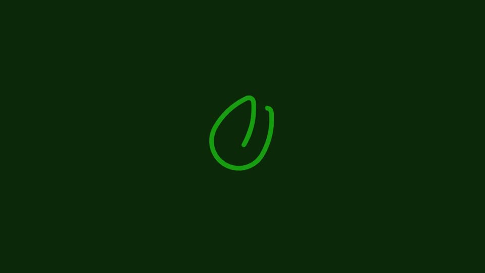 Pistachio Logo Animation